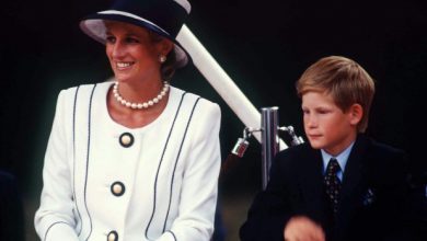 Photo of Prince Harry’s royal title to be dropped from Diana exhibition.