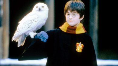 Photo of Daniel Radcliffe shares which ‘Harry Potter’ role he’d want in a reboot.