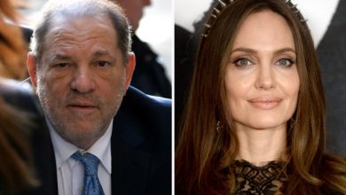 Photo of Harvey Weinstein calls Angelina Jolie accusations ‘brazenly untrue’
