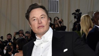 Photo of Elon Musk’s affair with Google co-founder’s wife led to divorce filing